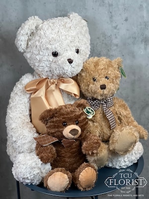 Bears